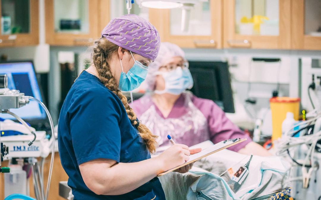 Klinikkaeläinhoitaja/sairaanhoitaja